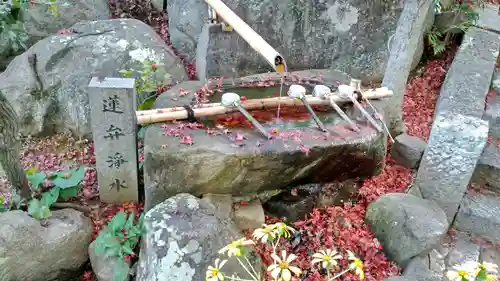 円通寺の手水舎