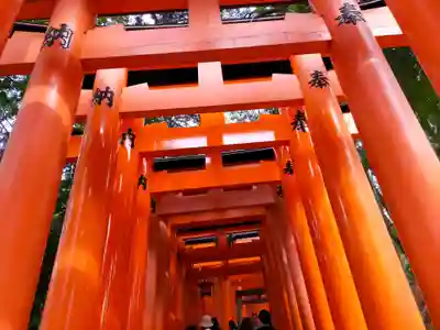 伏見稲荷大社(京都府)