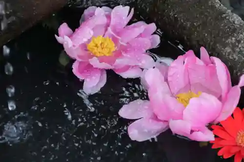 大鏑神社の手水舎