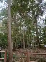 櫻木神社の自然