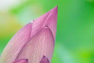大久寺(神奈川県)