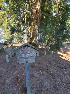小宅八幡神社の自然