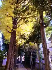 白山神社(東京都)