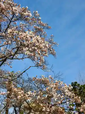 如宝寺(福島県)