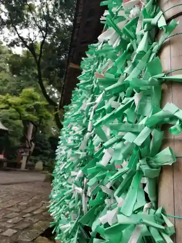 武蔵一宮氷川神社のおみくじ