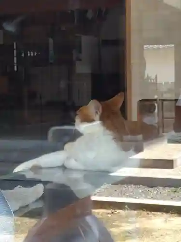 伊勢神社の動物