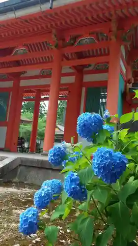 出石神社の山門・神門