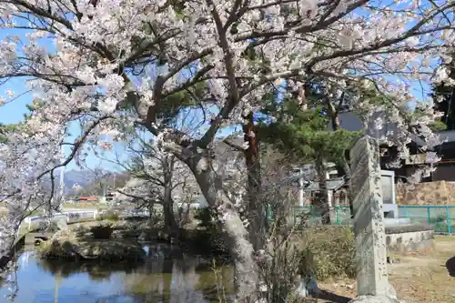 大山祇神社の景色