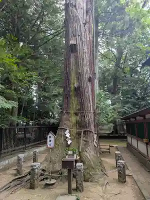 一言主神社(茨城県)