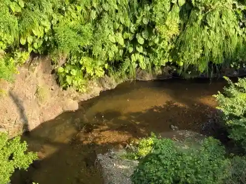 高龍神社(新潟県)