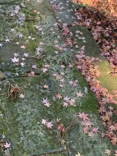 社八幡神社(福島県)