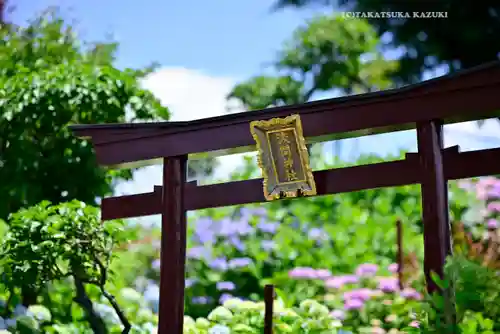 白山神社(東京都)