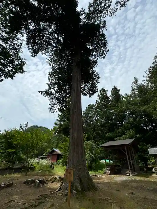 諏訪神社(長野県)