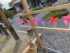 眞中神社(岐阜県)