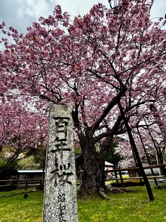 春日神社(京都府)