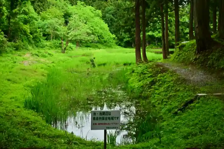 郡殿の池弁財天社(新潟県)