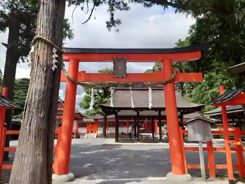 吉田神社の鳥居