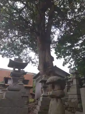 利椋八幡神社(福井県)