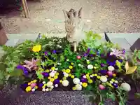 滑川神社 - 仕事と子どもの守り神の手水舎