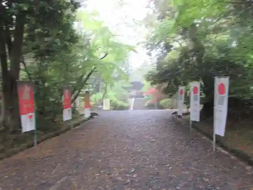 園城寺（三井寺）の建物その他