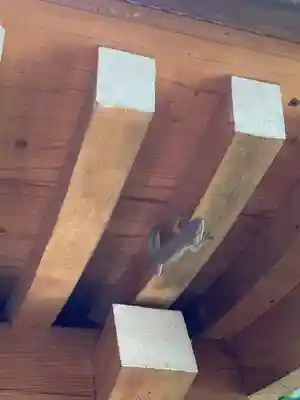 落合白山神社(東京都)