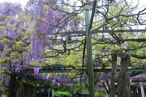 國領神社の庭園