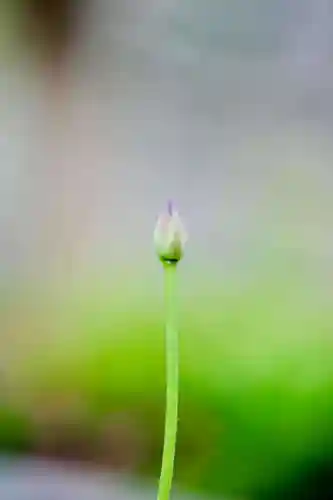 浄土寺(兵庫県)