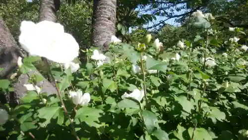 松前神社の自然