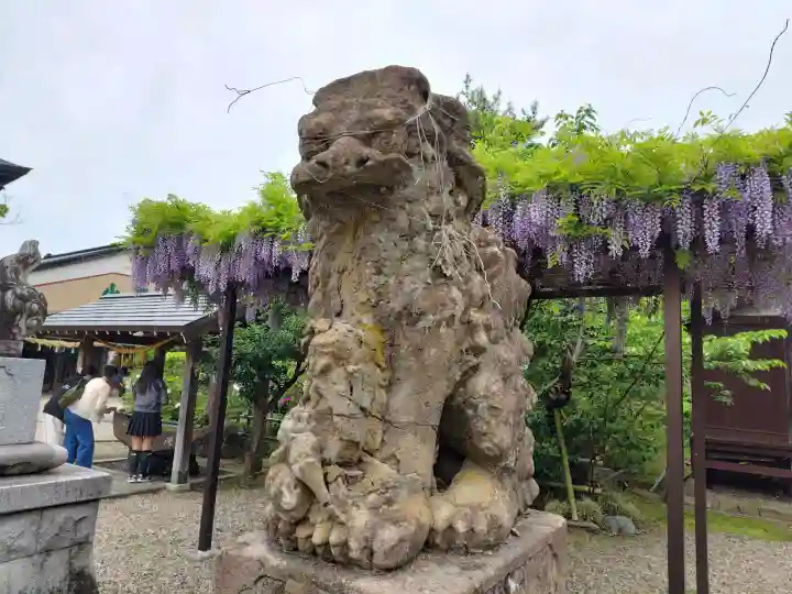 大地主神社の{uncategorized: "未分類", other: "その他", undefined: "問題あり", building: "その他建物", grave: "お墓", sacred_gate: "鳥居", guardian: "狛犬", statue: "像", buddha: "仏像", history: "歴史", nature: "自然", garden: "庭園", animal: "動物", pagoda: "塔", temizu: "手水舎", mountain_gate: "山門・神門", sanctuary: "本殿・本堂", subordinate: "末社・摂社", art: "芸術", scenery: "景色", jizo: "地蔵", ema: "絵馬", goshuin: "御朱印", omikuji: "おみくじ", items: "授与品その他", amulet: "お守り", goshuincho: "御朱印帳", eats: "食事", festival: "お祭り", votive_dance: "神楽", shichigosan: "七五三参", wedding: "結婚式", experience: "体験その他", initially: "初詣", around: "周辺", anti_infection: "感染症対策"}