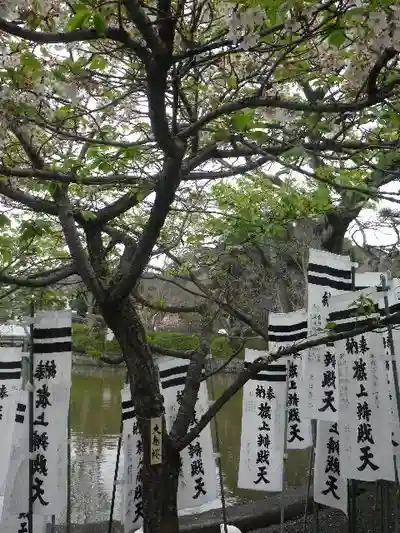 旗上弁財天社の自然