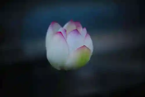 浄土寺(兵庫県)