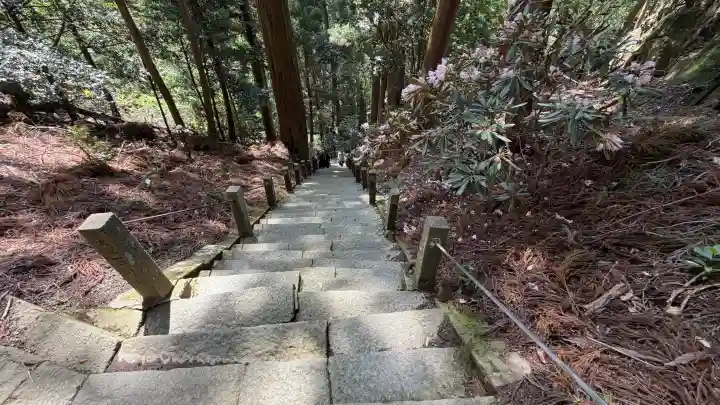 室生寺奥の院の{uncategorized: "未分類", other: "その他", undefined: "問題あり", building: "その他建物", grave: "お墓", sacred_gate: "鳥居", guardian: "狛犬", statue: "像", buddha: "仏像", history: "歴史", nature: "自然", garden: "庭園", animal: "動物", pagoda: "塔", temizu: "手水舎", mountain_gate: "山門・神門", sanctuary: "本殿・本堂", subordinate: "末社・摂社", art: "芸術", scenery: "景色", jizo: "地蔵", ema: "絵馬", goshuin: "御朱印", omikuji: "おみくじ", items: "授与品その他", amulet: "お守り", goshuincho: "御朱印帳", eats: "食事", festival: "お祭り", votive_dance: "神楽", shichigosan: "七五三参", wedding: "結婚式", experience: "体験その他", initially: "初詣", around: "周辺", anti_infection: "感染症対策"}