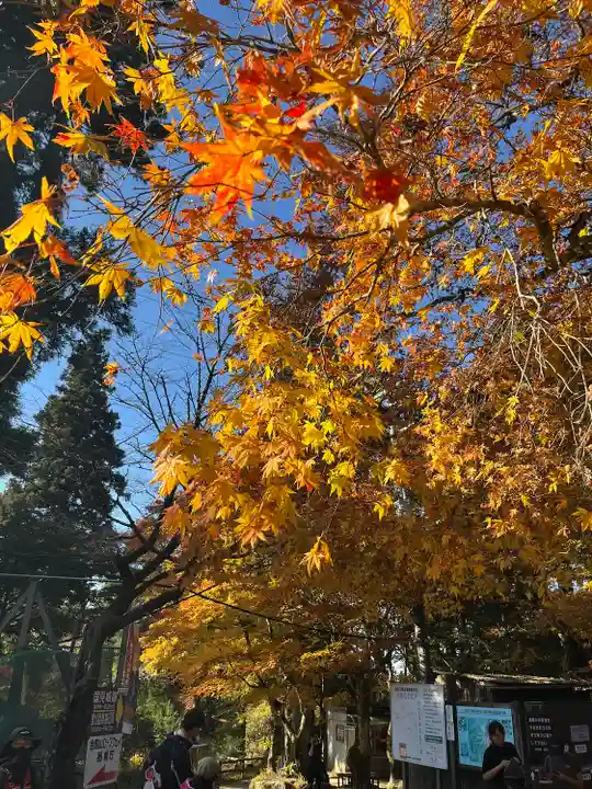 葛木神社の自然