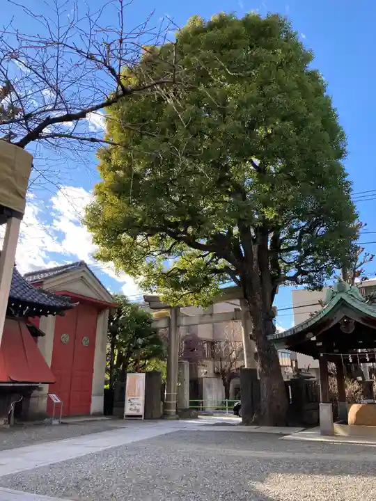 麻布氷川神社の自然