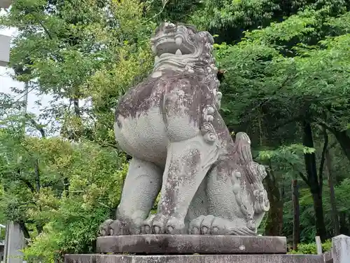 武田神社の狛犬