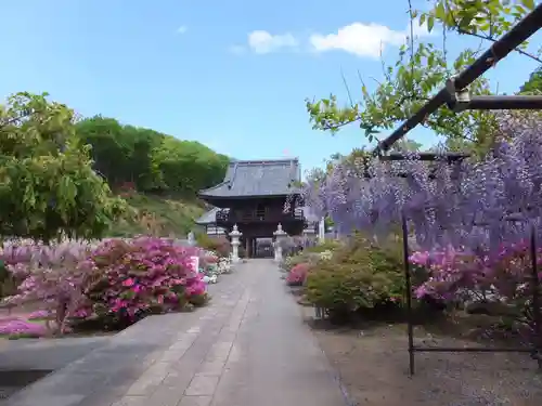 長泉寺の庭園