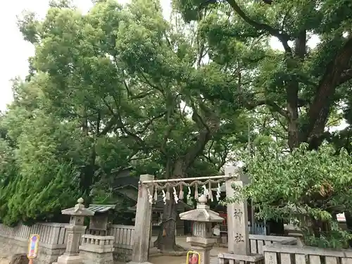 桑津天神社の鳥居