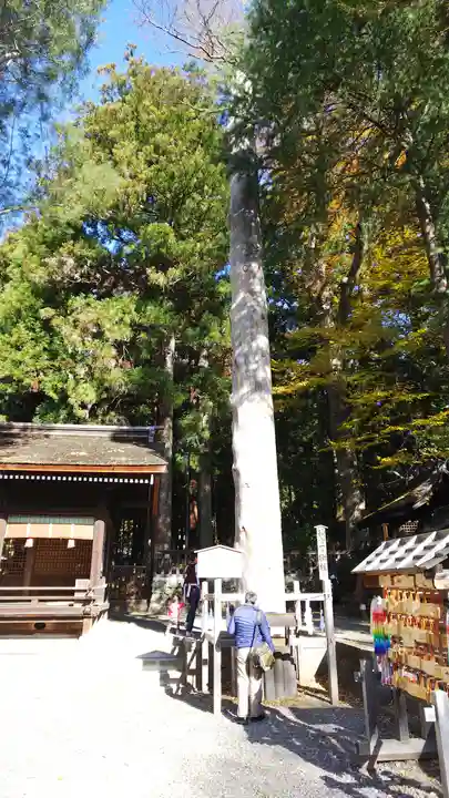 諏訪大社下社秋宮(長野県)