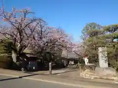 興禅寺の建物その他