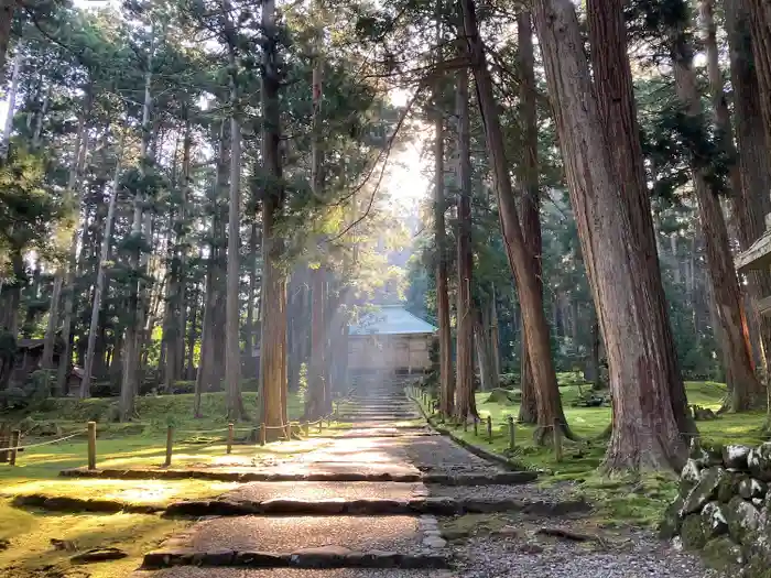 平泉寺白山神社の建物その他