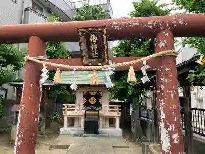 椿神社(東京都)
