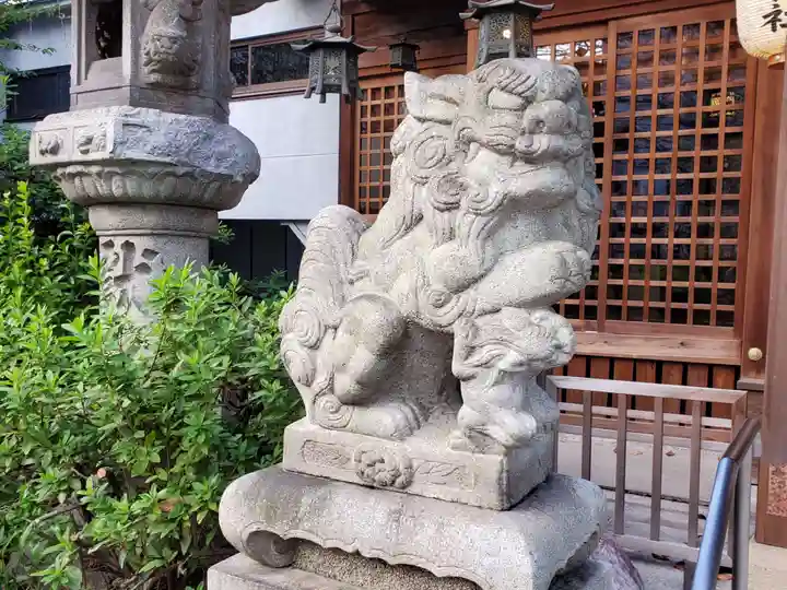 冨士浅間神社の狛犬