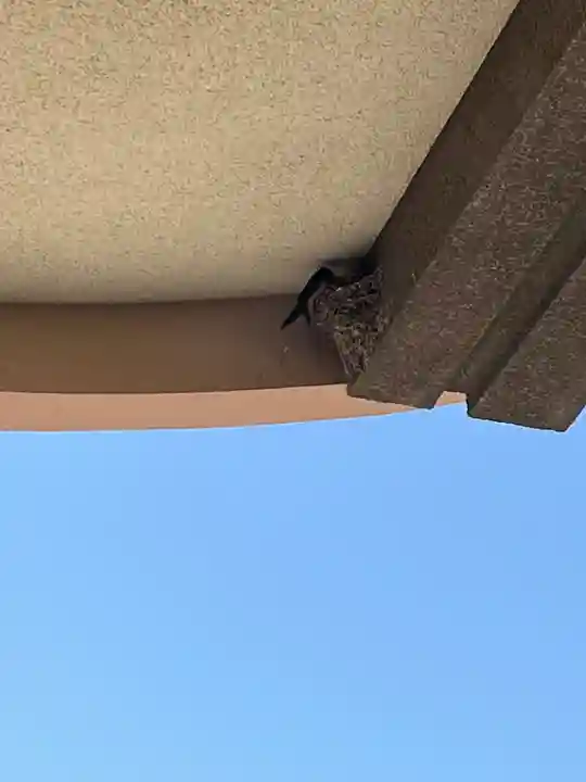 防府天満宮(山口県)