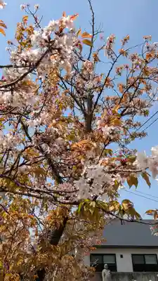 玄隆寺(京都府)
