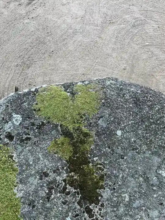 藤ヶ崎龍神社(滋賀県)