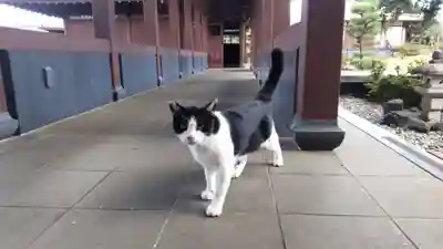 曹洞宗　瓦谷山　真光寺(千葉県)