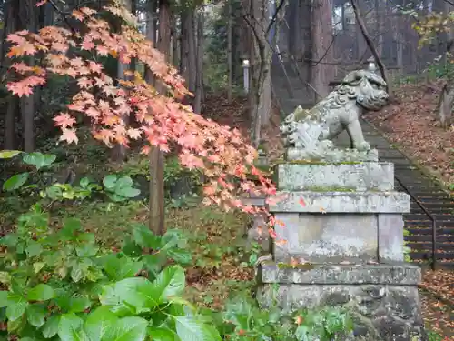 戸隠神社宝光社の狛犬