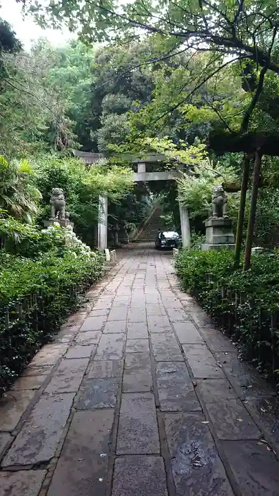 赤坂氷川神社の鳥居