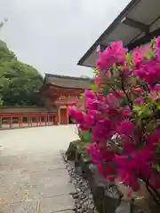 賀茂御祖神社（下鴨神社）(京都府)