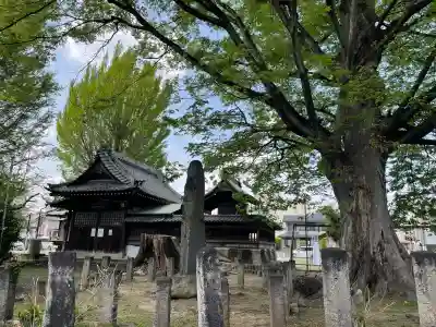千形神社(埼玉県)